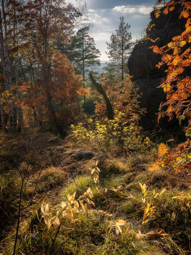 Photograph by Анастасия Глазюк