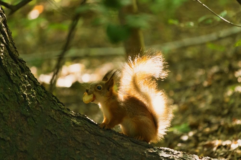 Photograph by Pavel Morozov