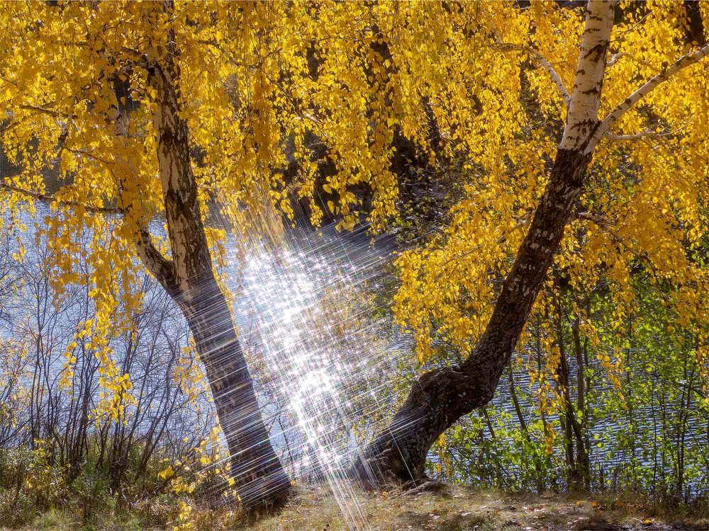 Бабье лето.