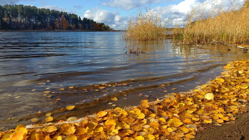Осенний Селигер