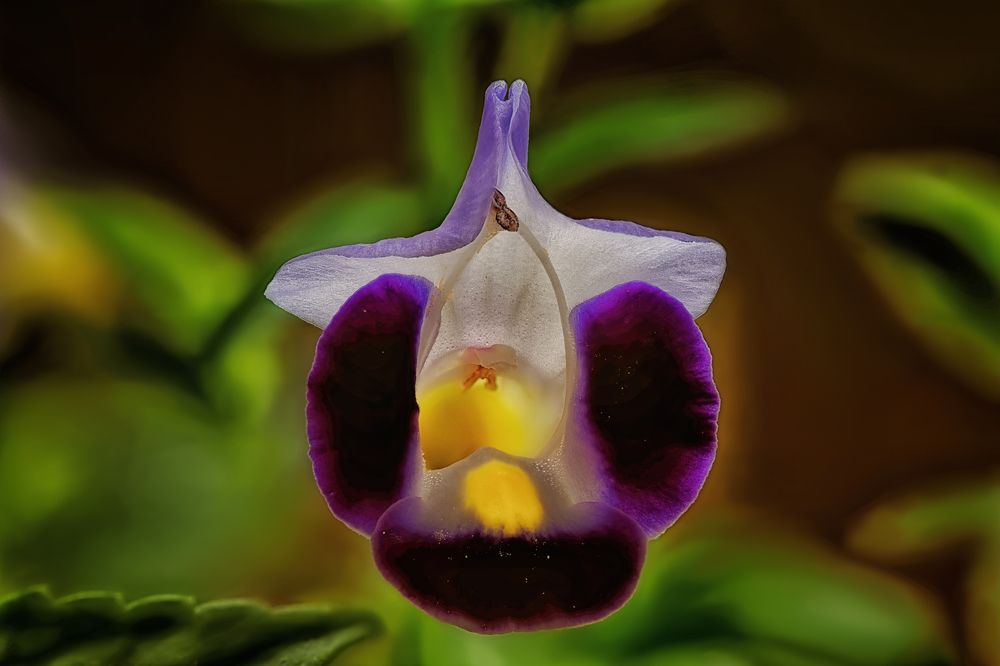 Photograph by Владимир Кваша