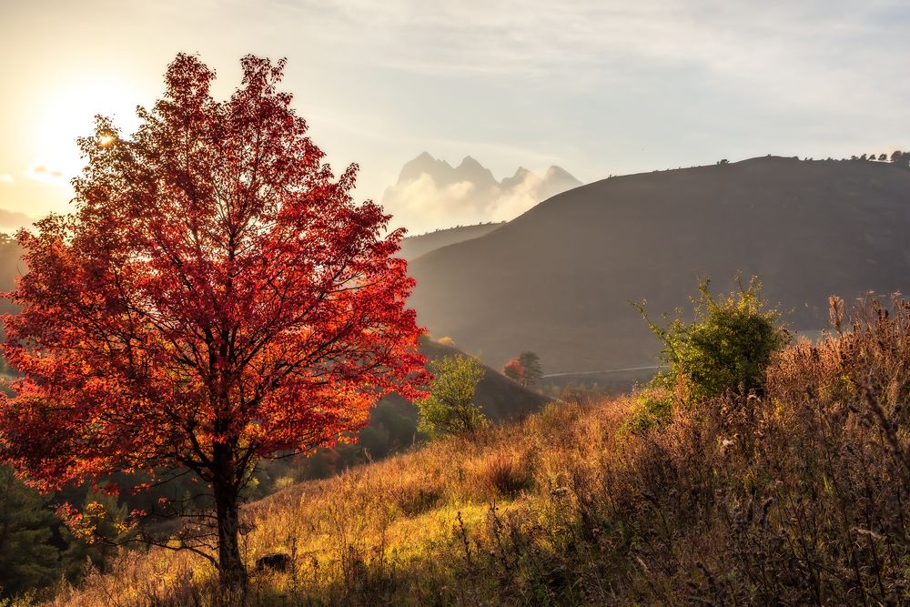 Фотография автора Zakharov Armen