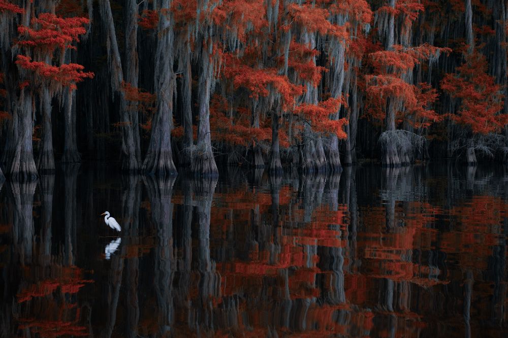 Photograph by George