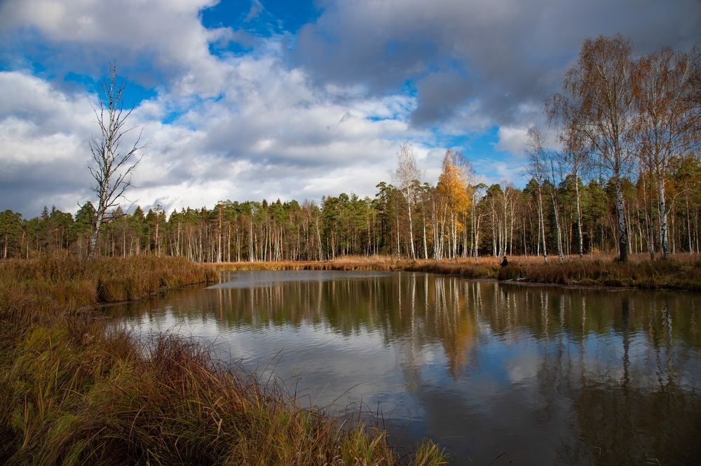 Photograph by Елена Герасимова