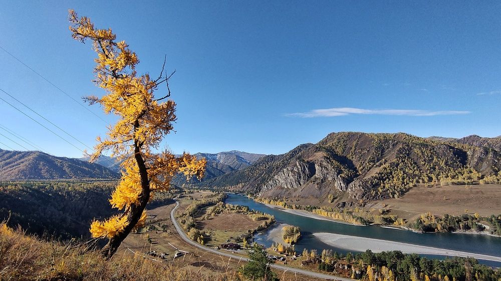 Photo #6605843