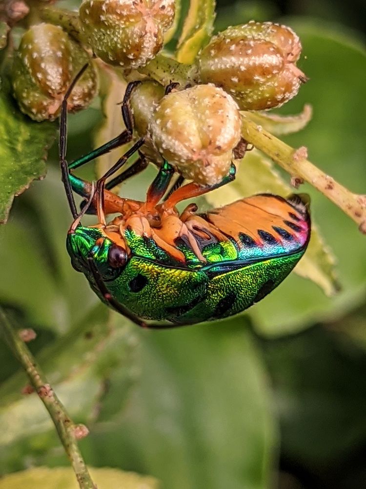 Photograph by Ramakrishnan Varun