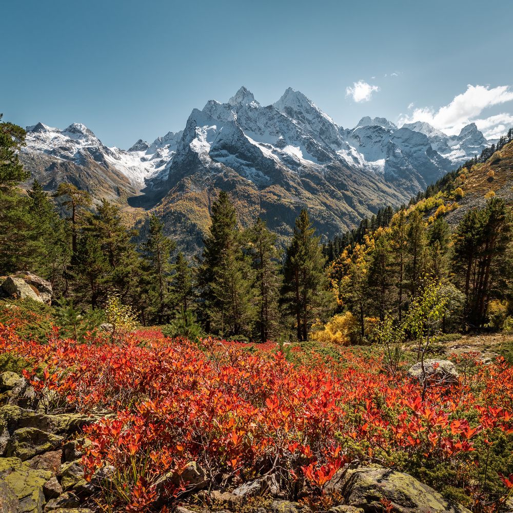 Фотография автора Zakharov Armen