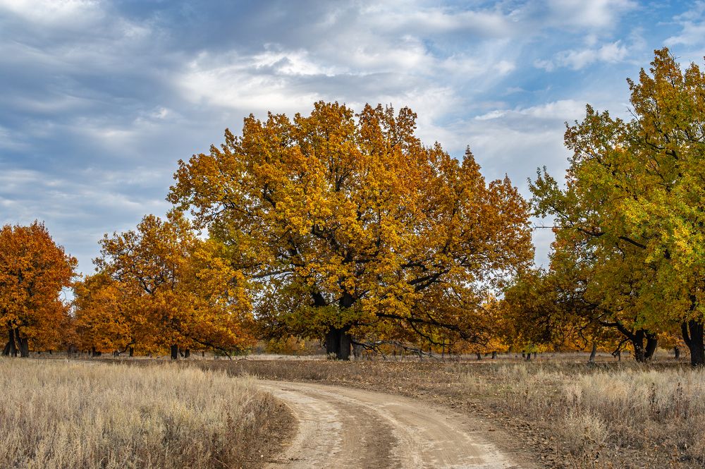 Photograph by Роман Васильев