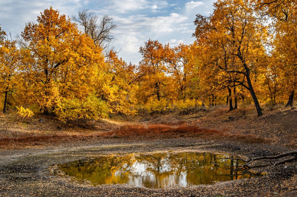 Photograph by Роман Васильев
