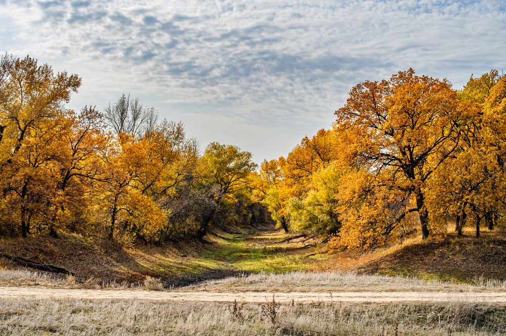 Photograph by Роман Васильев