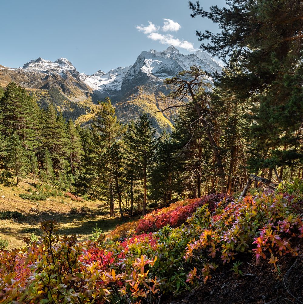 Фотография автора Zakharov Armen