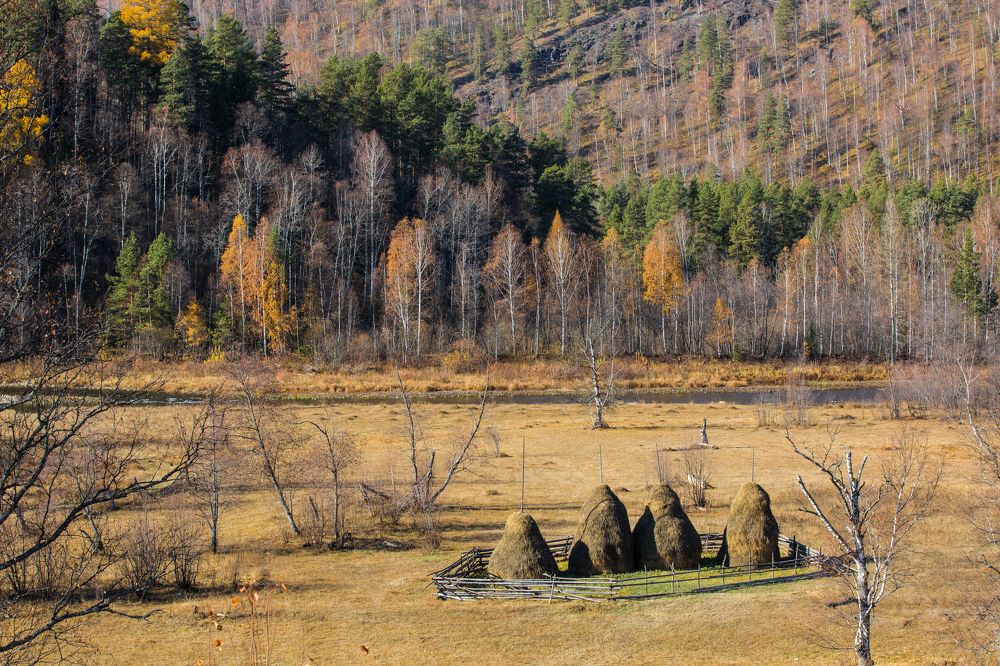 Photograph by Фирдаус Карипова