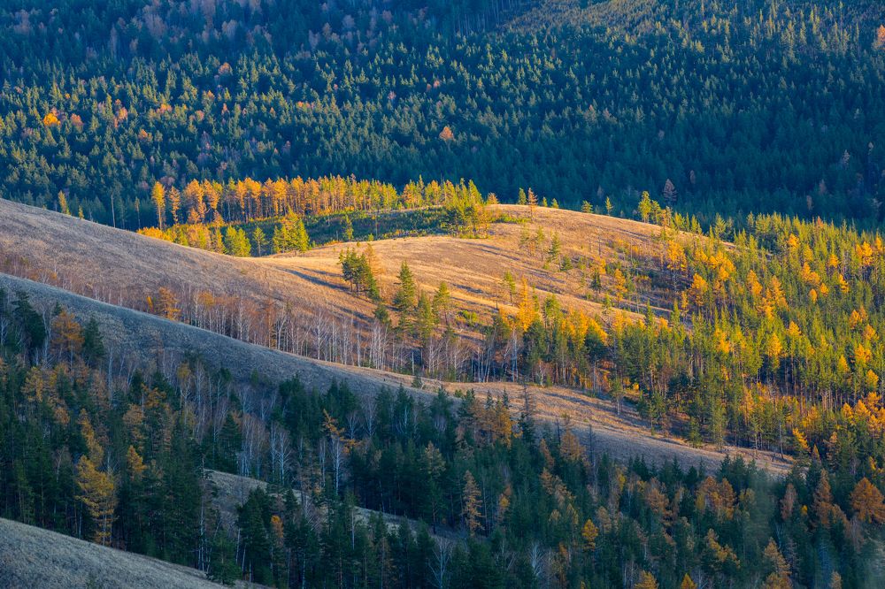 Photograph by Фирдаус Карипова