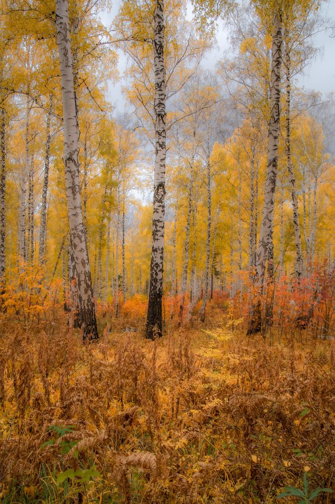 Photograph by Анастасия Глазюк