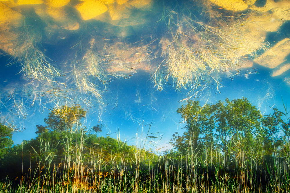 Photograph by Владимир Ачинцев