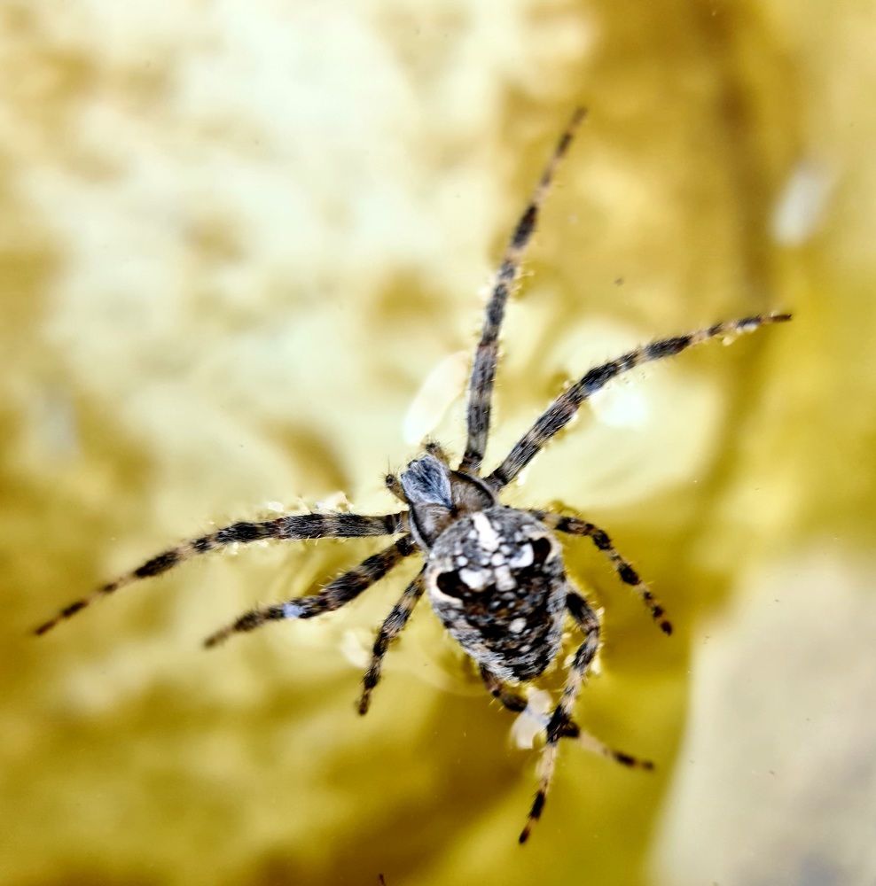 Photograph by Сергей Мамалюк