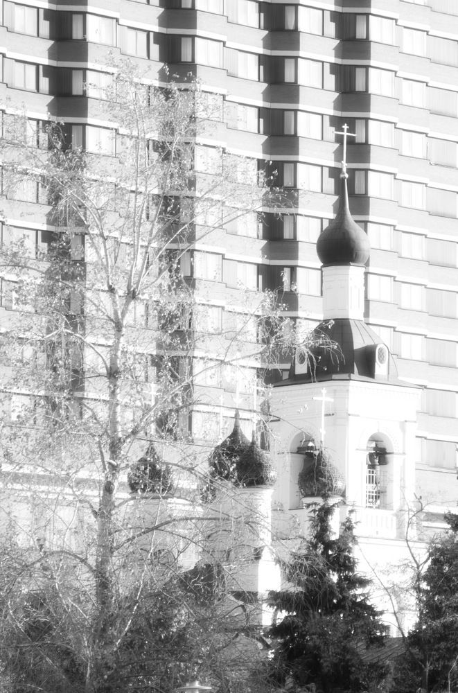 Photograph by Татьяна Мухачева