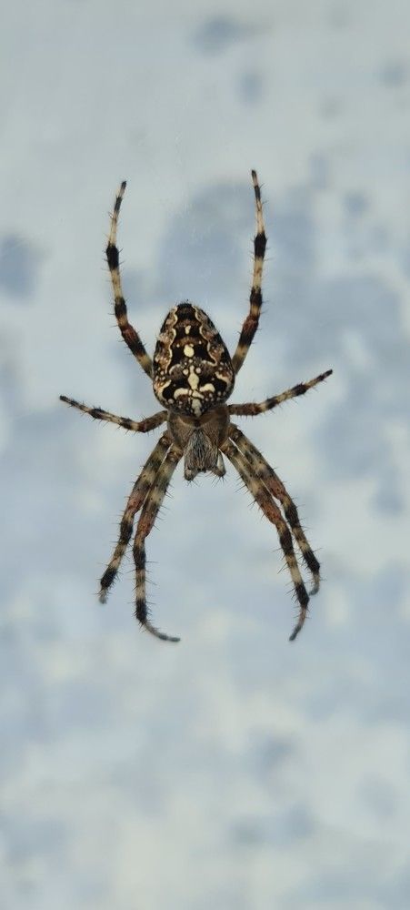 Photograph by Сергей Мамалюк