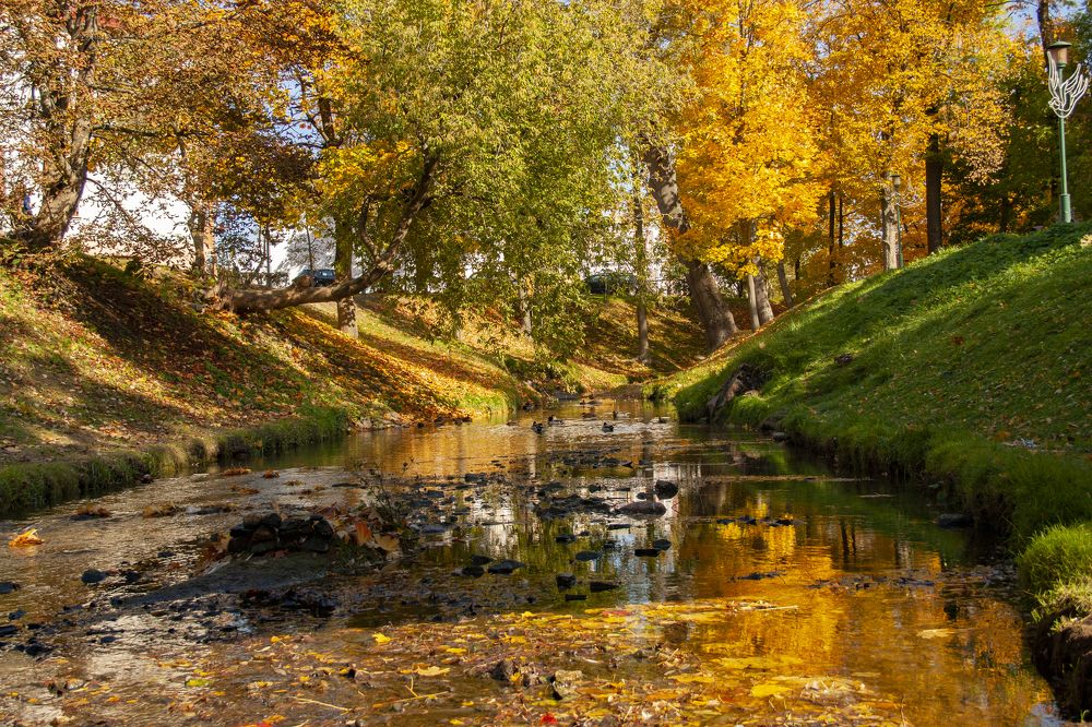 Photograph by Александр Архипов