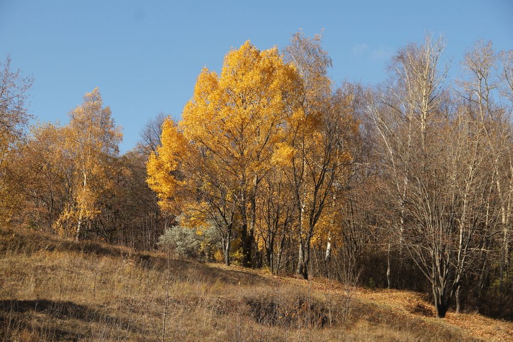 Photograph by Игорь Улитин