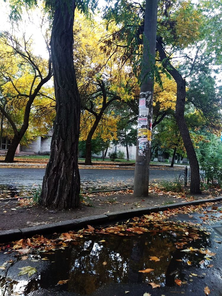 Photograph by Litvinova Ann