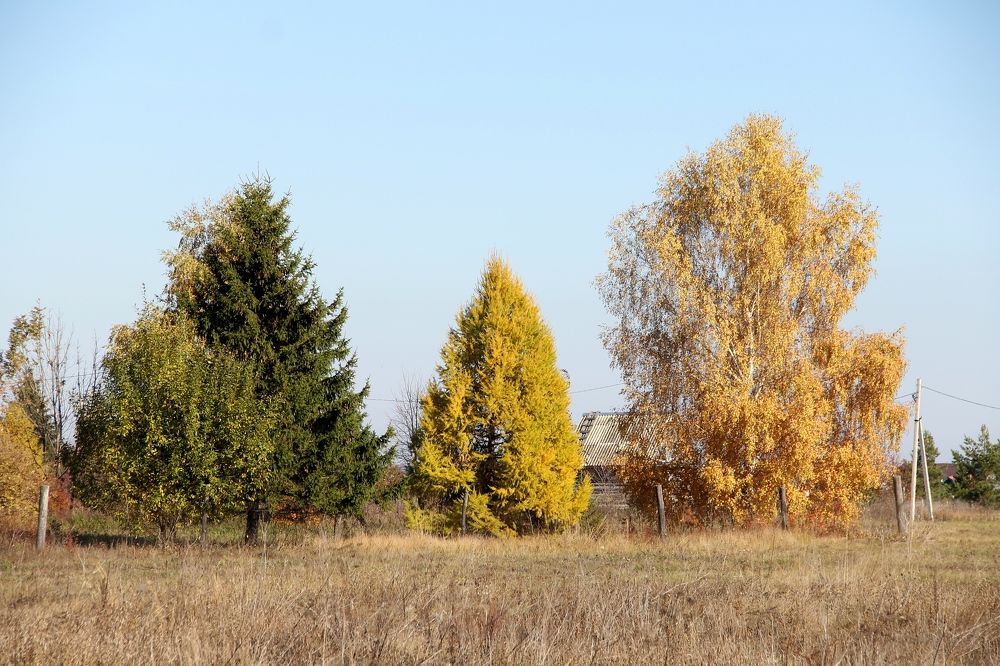 Photograph by Игорь Улитин