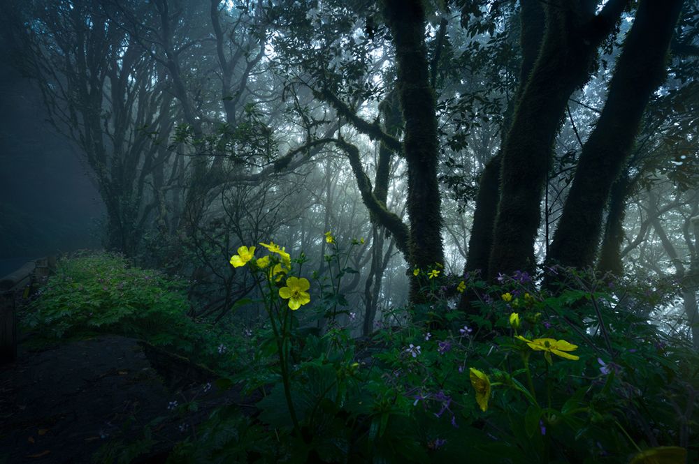 Photograph by Sergio Diaz