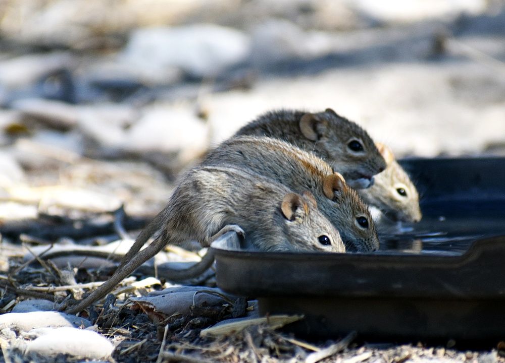 Photograph by Jaynie Nieuwoudt