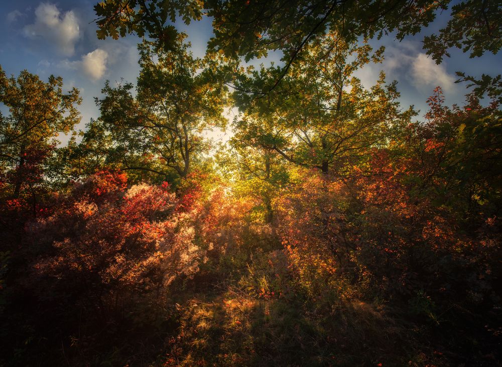 Photograph by Юрий Диденко