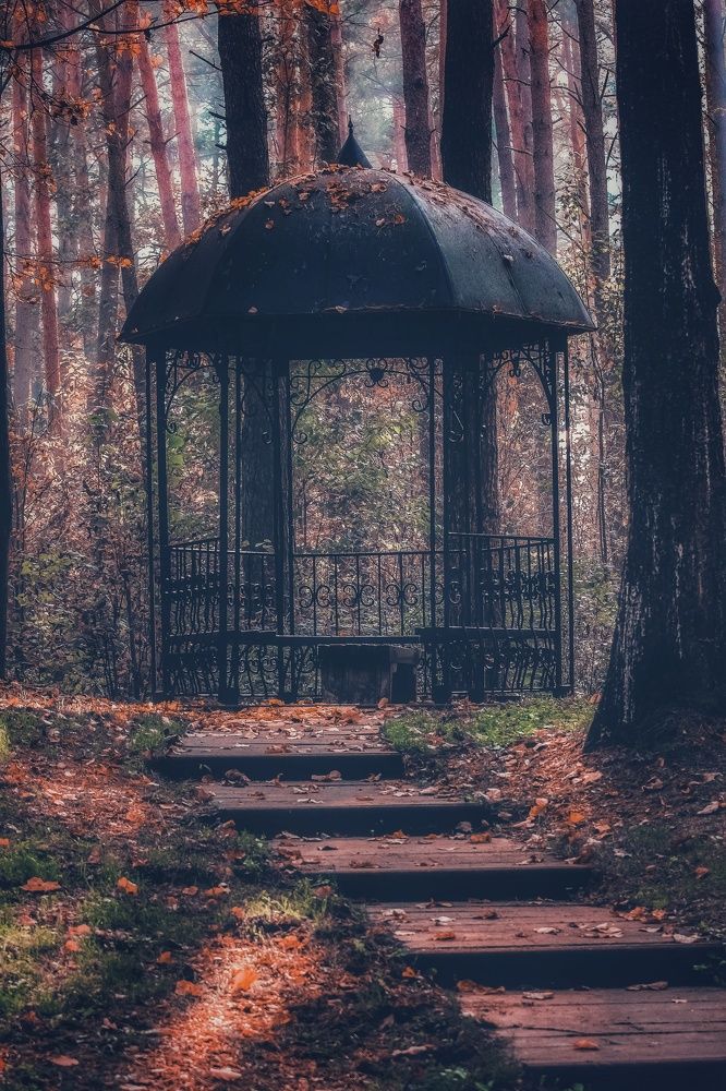 Photograph by Елена Пасажицкая