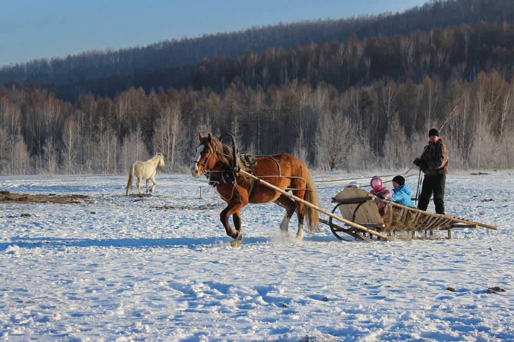 Photograph by Наталья Юрова