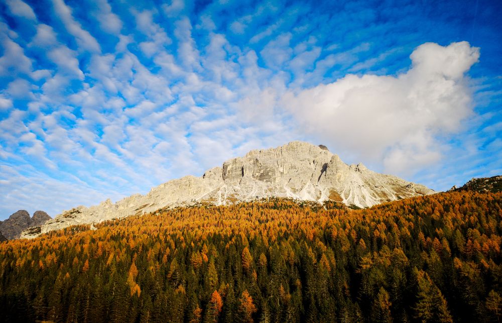 Photograph by Natalya  Podymahina