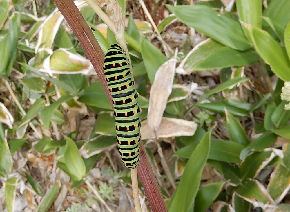 Photograph by София Гавриловна Вотякова