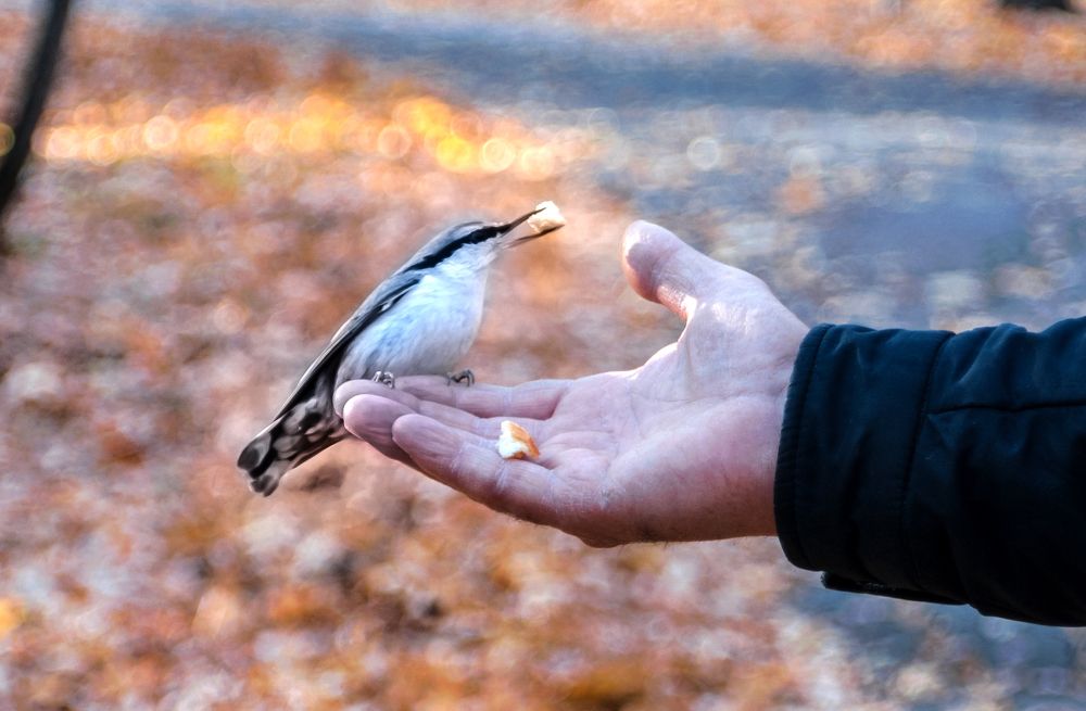 Photograph by Виталий Слёзка