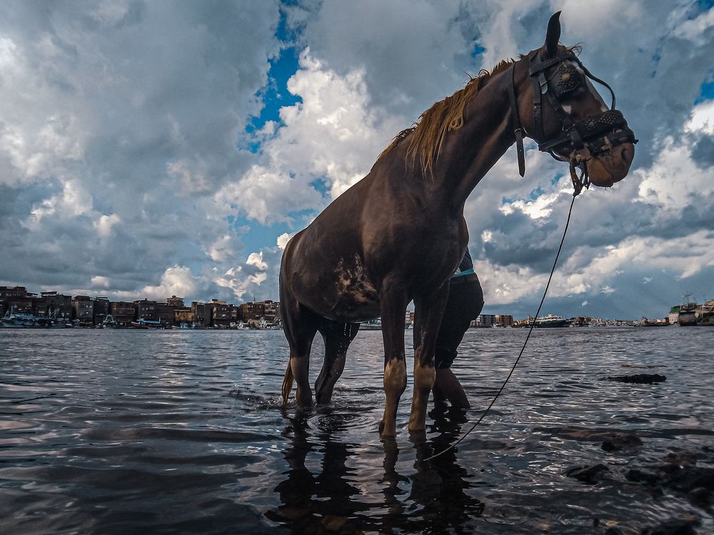 Photograph by Mosbah Hammad