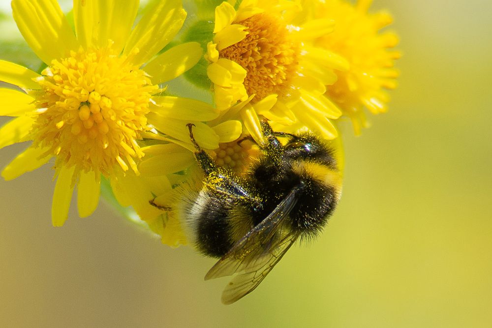Photograph by Анастасия Глазюк