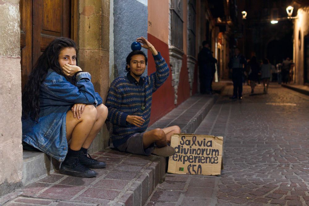 Divinorum Experience