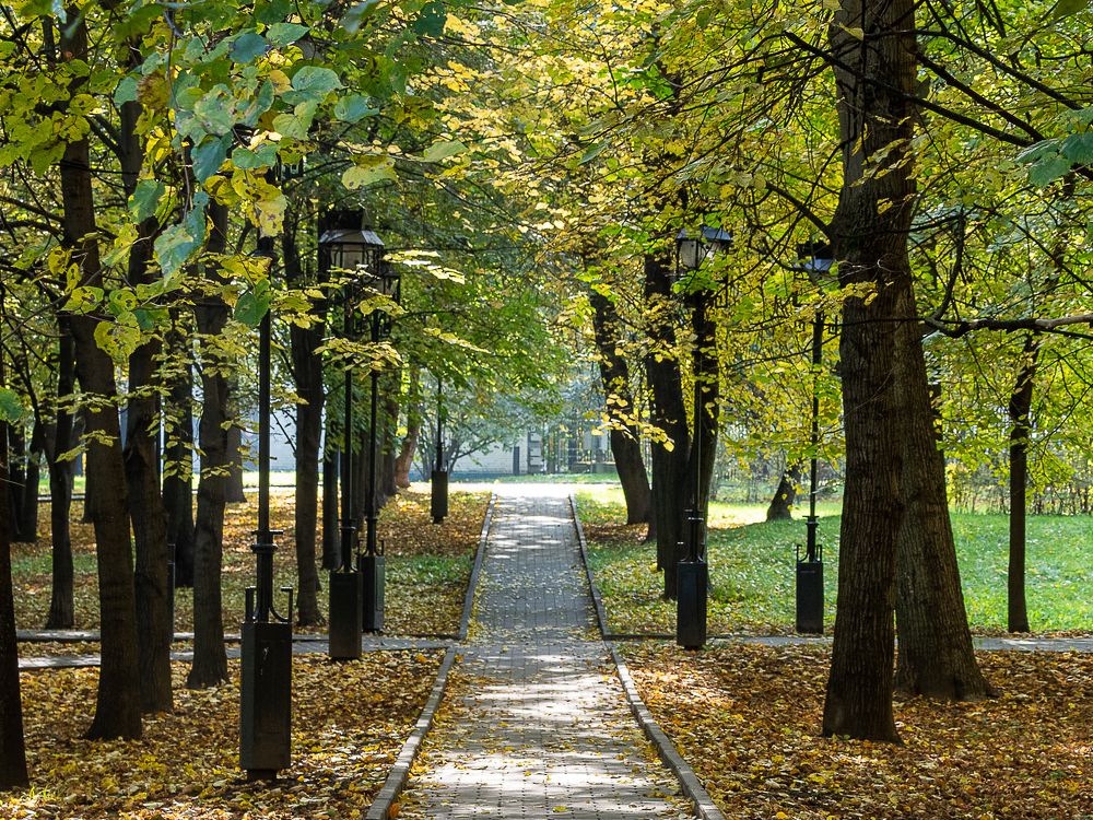 Фотография автора 