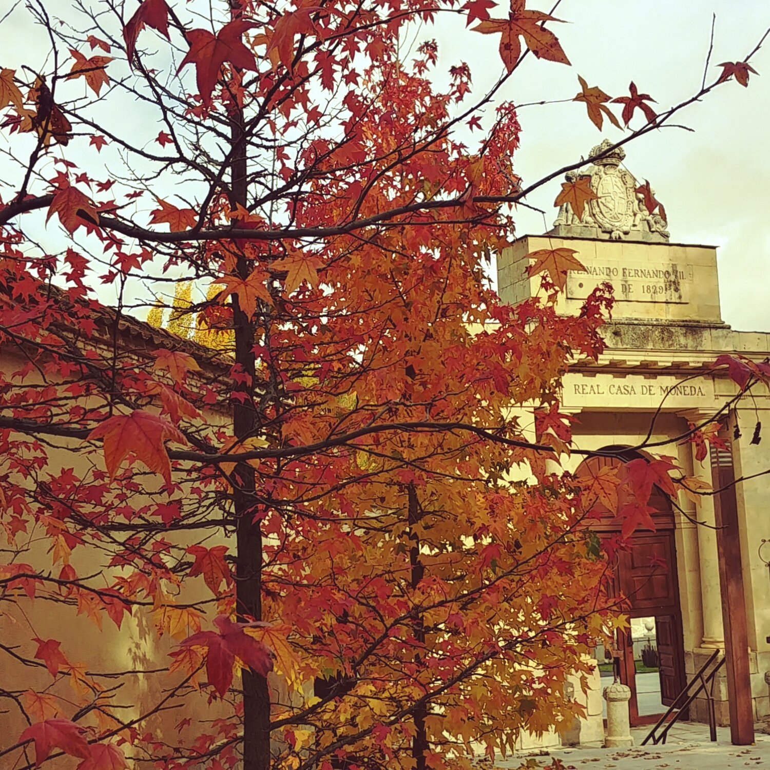 Autumn colors