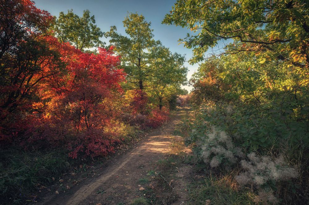 Photograph by Юрий Диденко