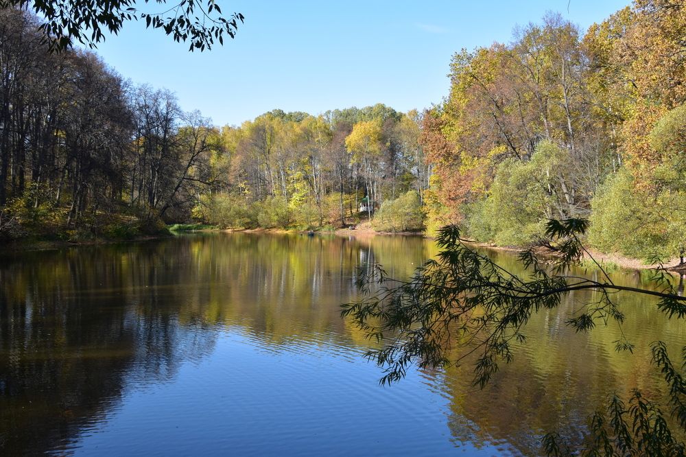 Photograph by Татьяна Калугина