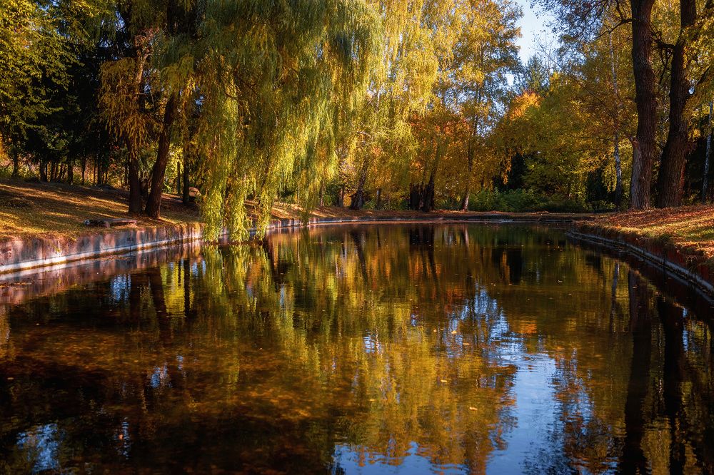 Photograph by Анна Пикаленко