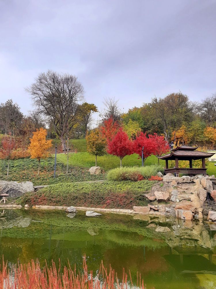 Photograph by Ирина Гнатюк