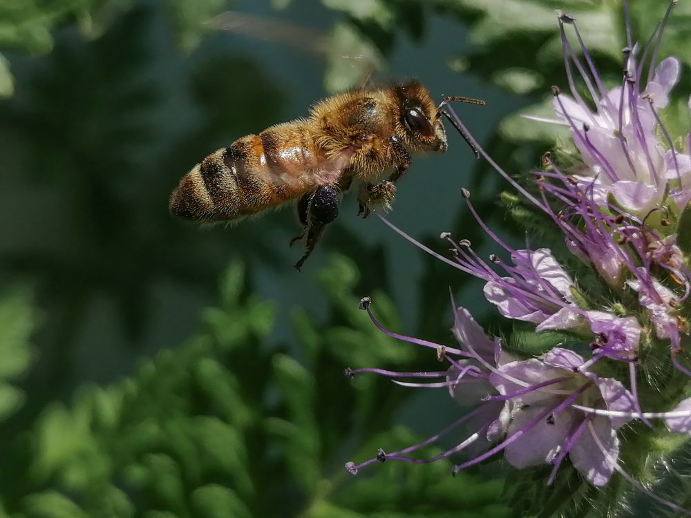 Photograph by Надежда Алешечкина