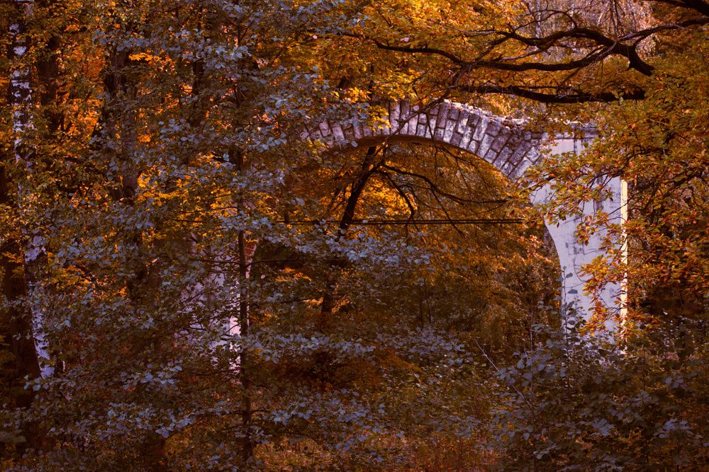 Photograph by Максим Трифонов