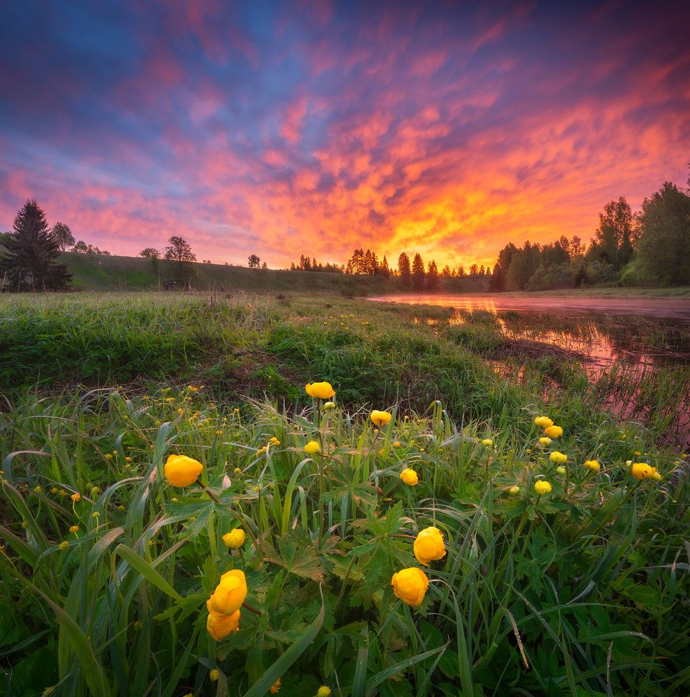 Photograph by Алексей Марголин