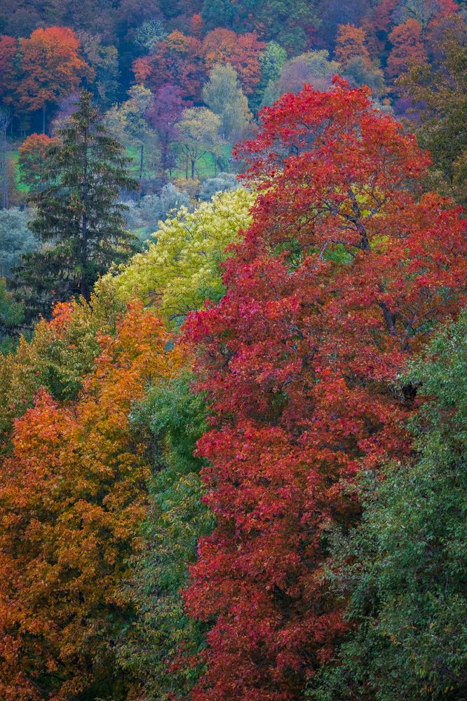 Photograph by Дмитрий Рябцев