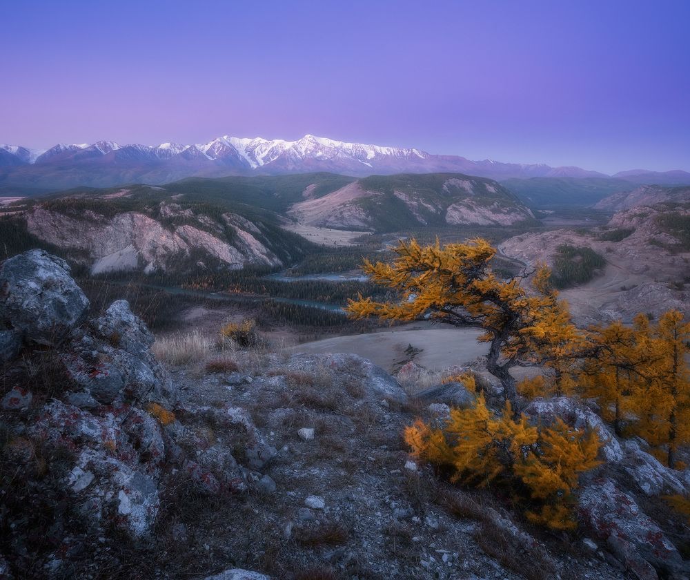 Photograph by Алексей Марголин