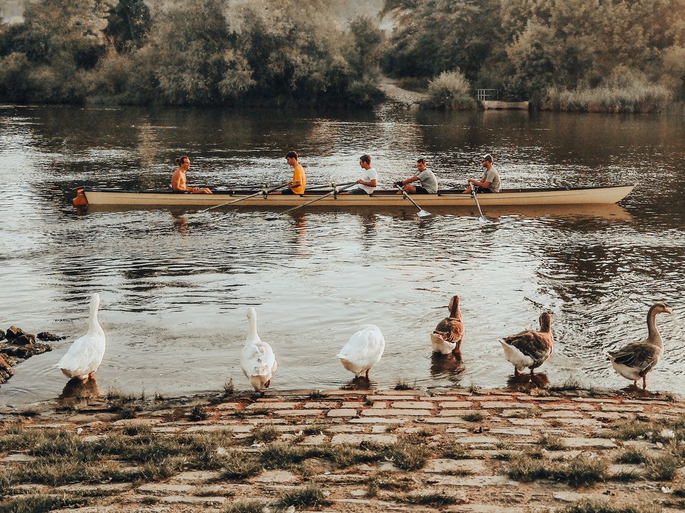 Photograph by Анна Купенко