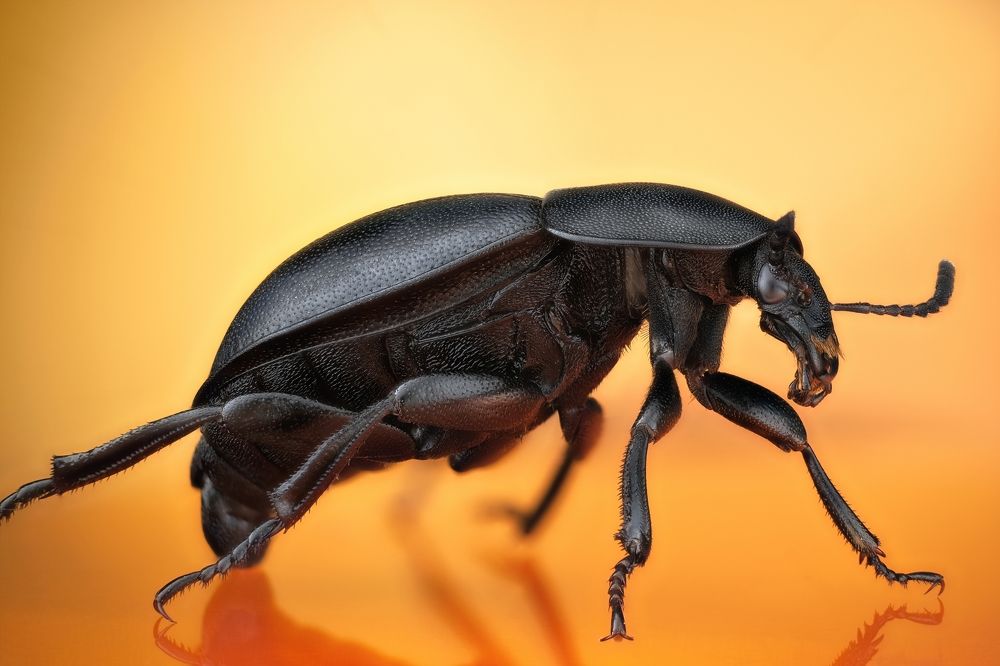 Photograph by Антон Орленко